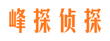 河北区外遇出轨调查取证